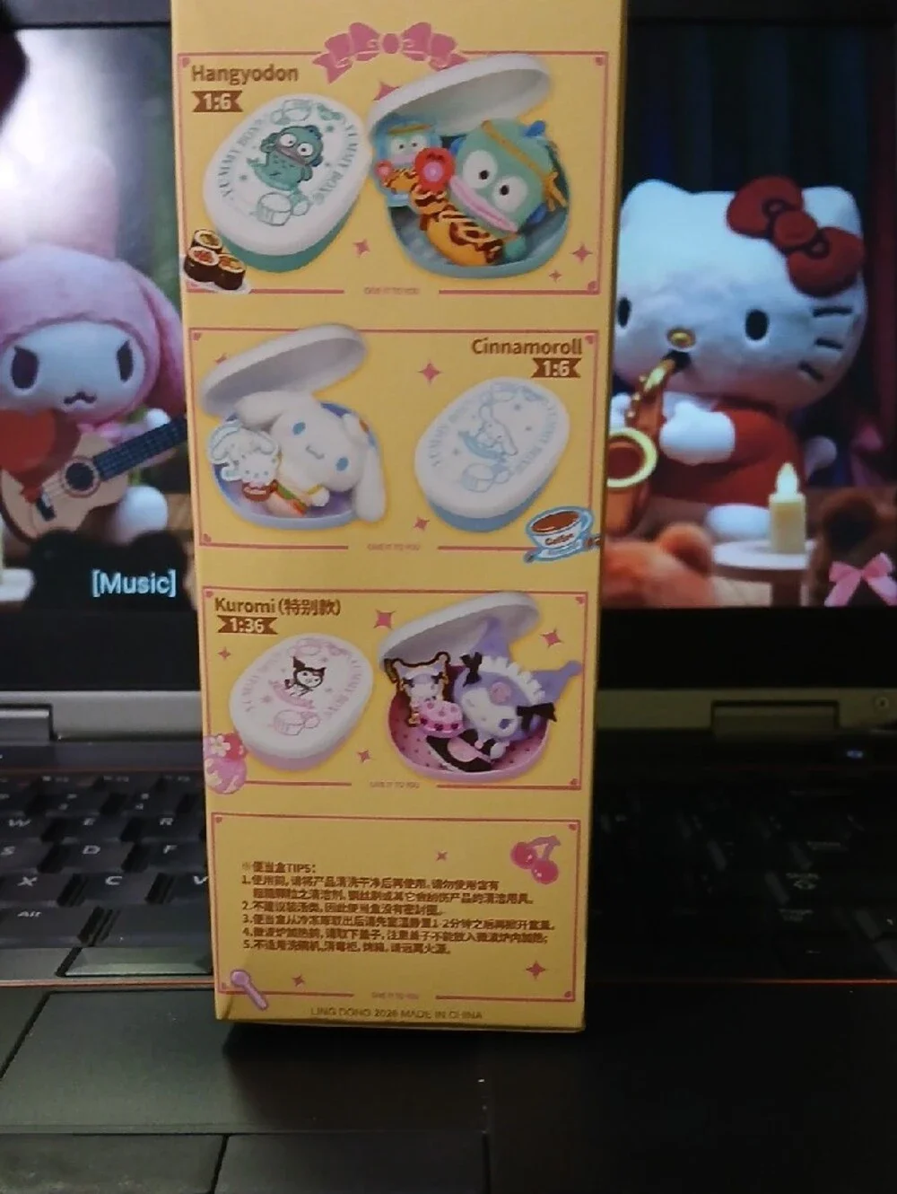 Sanrio Yummy Box Tupperware Surprise - Which One Will You Get? Sealed. M Size
